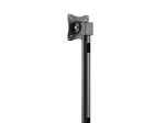 Neomounts NS-DPOS100BLACK Monitor Tischhalterung