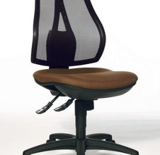 braun