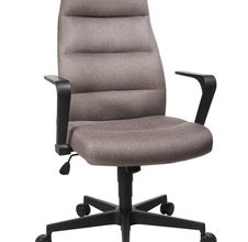 braun