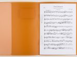 BRUNNEN Schnellhefter DIN A4 Polypropylen (PP) orange transluzent