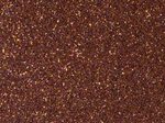 folia Tonpapier 170 g/m²