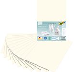 folia Tonpapier DIN A4 130 g/m²