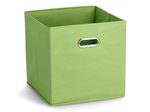 Zeller Aufbewahrungsbox 30,0 l - 32,0 x 32,0 x 32,0 cm grün