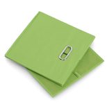 Zeller Aufbewahrungsbox 30,0 l - 32,0 x 32,0 x 32,0 cm grün