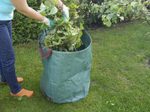 Gartenabfallsack 180,0 l grün