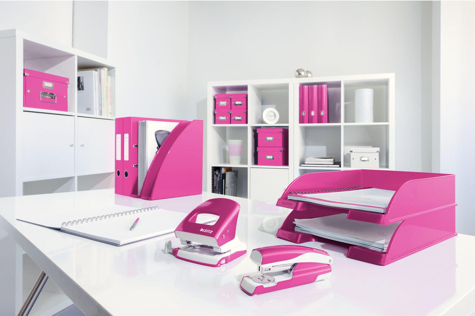 LEITZ Ringbuch 2-Ringe DIN A4 4 cm pink