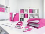 LEITZ Ringbuch 2-Ringe DIN A4 4 cm pink