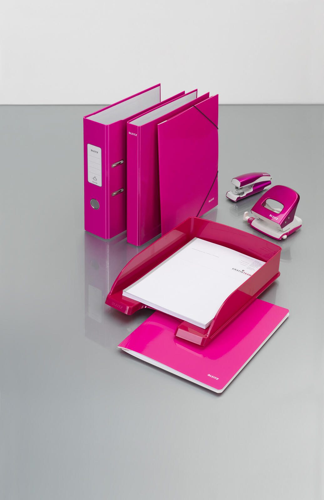 LEITZ Ringbuch 2-Ringe DIN A4 4 cm pink