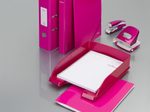 LEITZ Ringbuch 2-Ringe DIN A4 4 cm pink