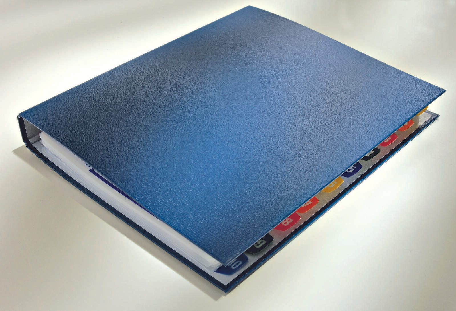 LEITZ Ringbuch 2-Ringe DIN A4 4 cm blau