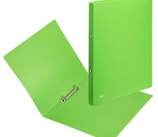 PAGNA Ringbuch 2-Ringe DIN A4 3.3 cm grün