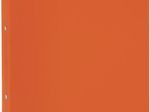 PAGNA Ringbuch 2-Ringe DIN A4 3.3 cm orange