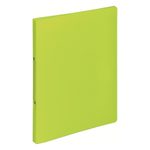 PAGNA Ringbuch 2-Ringe DIN A4 2.3 cm lindgrün