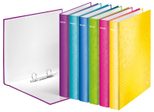 LEITZ Ringbuch 2-Ringe DIN A4 4 cm gelb