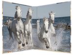 HERMA Ringbuch 2-Ringe DIN A4 3.5 cm Motiv