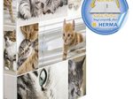 HERMA Ringbuch 2-Ringe DIN A4 3.5 cm Motiv