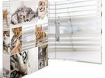 HERMA Ringbuch 2-Ringe DIN A4 3.5 cm Motiv