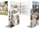 HERMA Ringbuch 2-Ringe DIN A4 3.5 cm Motiv