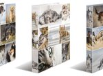 HERMA Ringbuch 2-Ringe DIN A4 3.5 cm Motiv