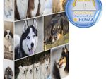 HERMA Ringbuch 2-Ringe DIN A4 3.5 cm Motiv