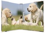 HERMA Ringbuch 2-Ringe DIN A4 3.5 cm Motiv