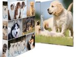 HERMA Ringbuch 2-Ringe DIN A4 3.5 cm Motiv
