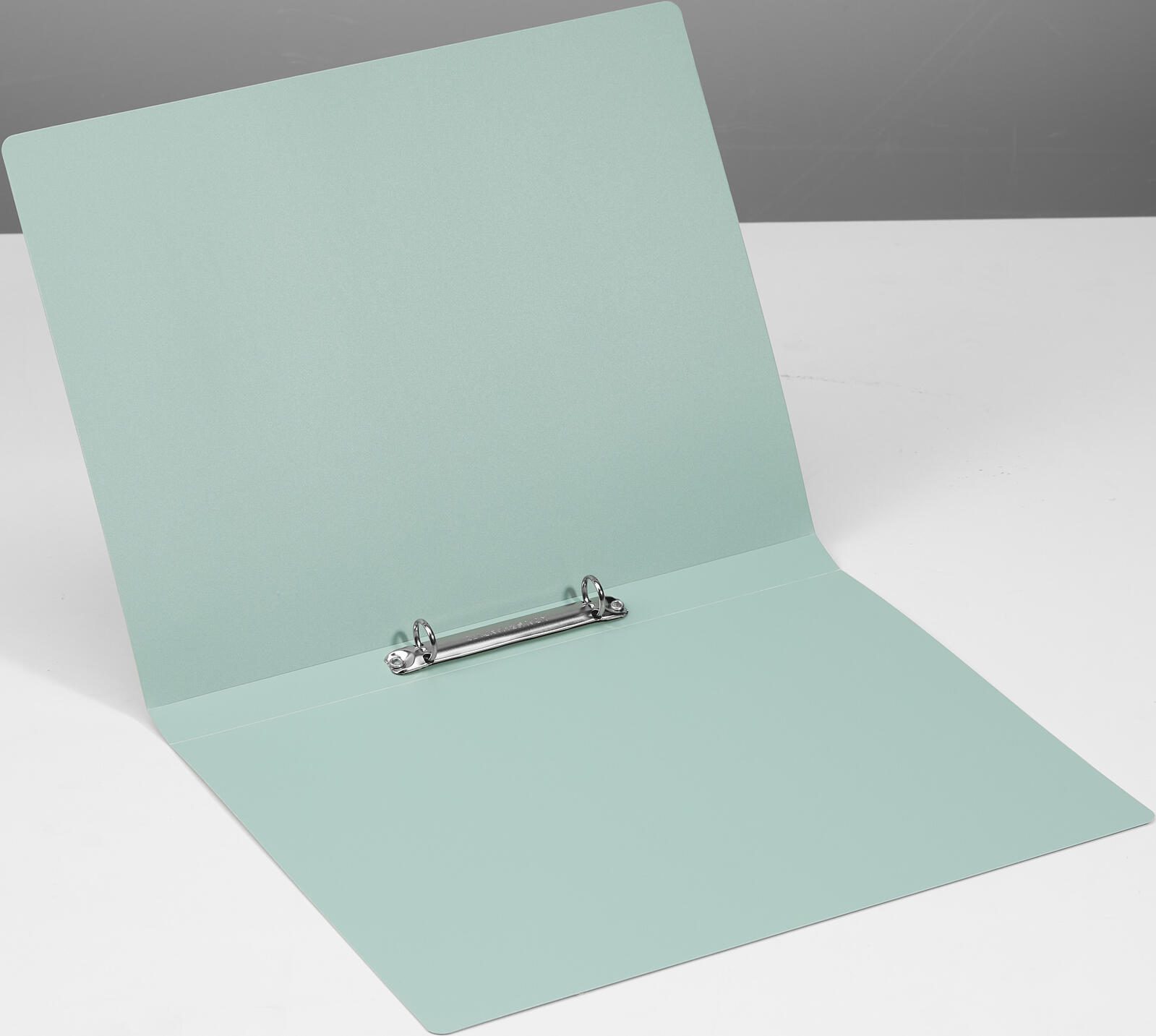 PAGNA Ringbuch 2-Ringe DIN A4 2.3 cm minze