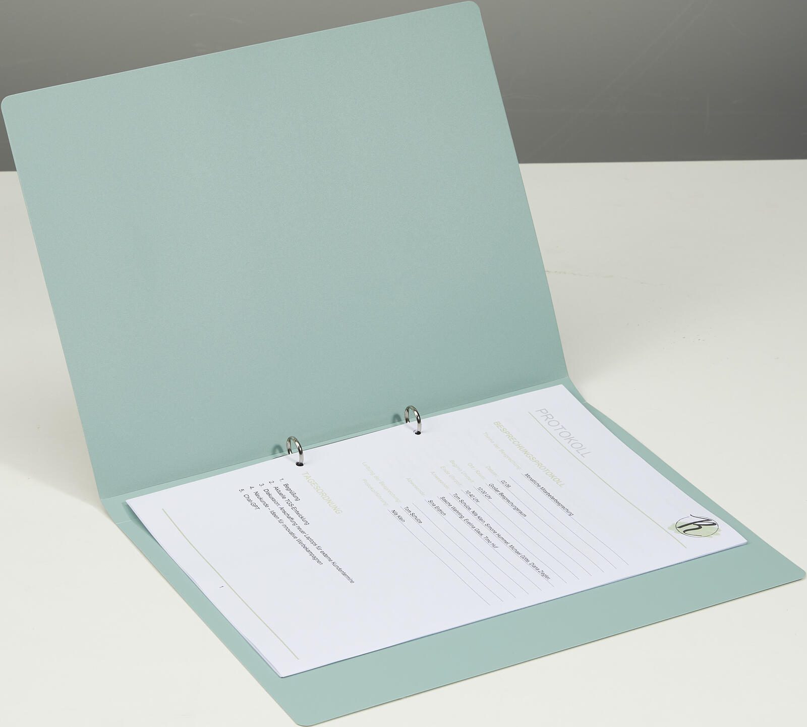 PAGNA Ringbuch 2-Ringe DIN A4 2.3 cm minze