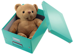 LEITZ Aufbewahrungsbox 16,7 l - 28,1 x 36,9 x 20,0 cm eisblau