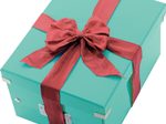 LEITZ Aufbewahrungsbox 16,7 l - 28,1 x 36,9 x 20,0 cm eisblau