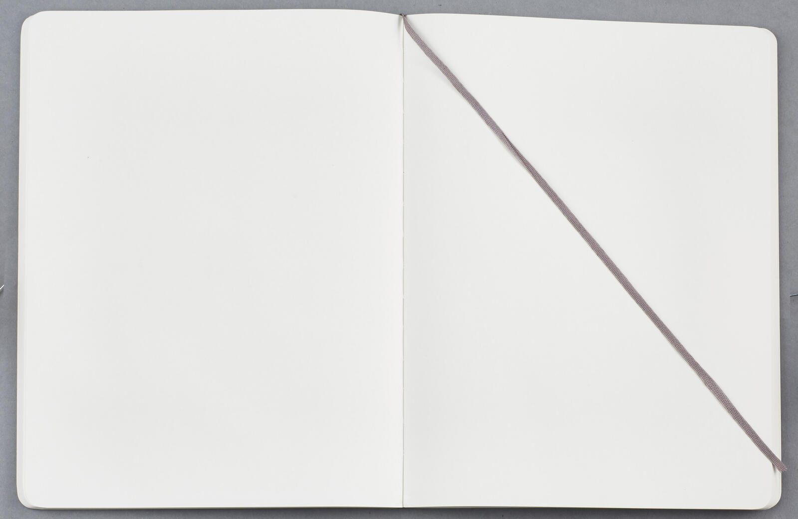MOLESKINE Notizbuch ca. DIN A4 blanko, 192 Seiten