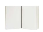 MOLESKINE Notizbuch ca. DIN A4 blanko, 192 Seiten