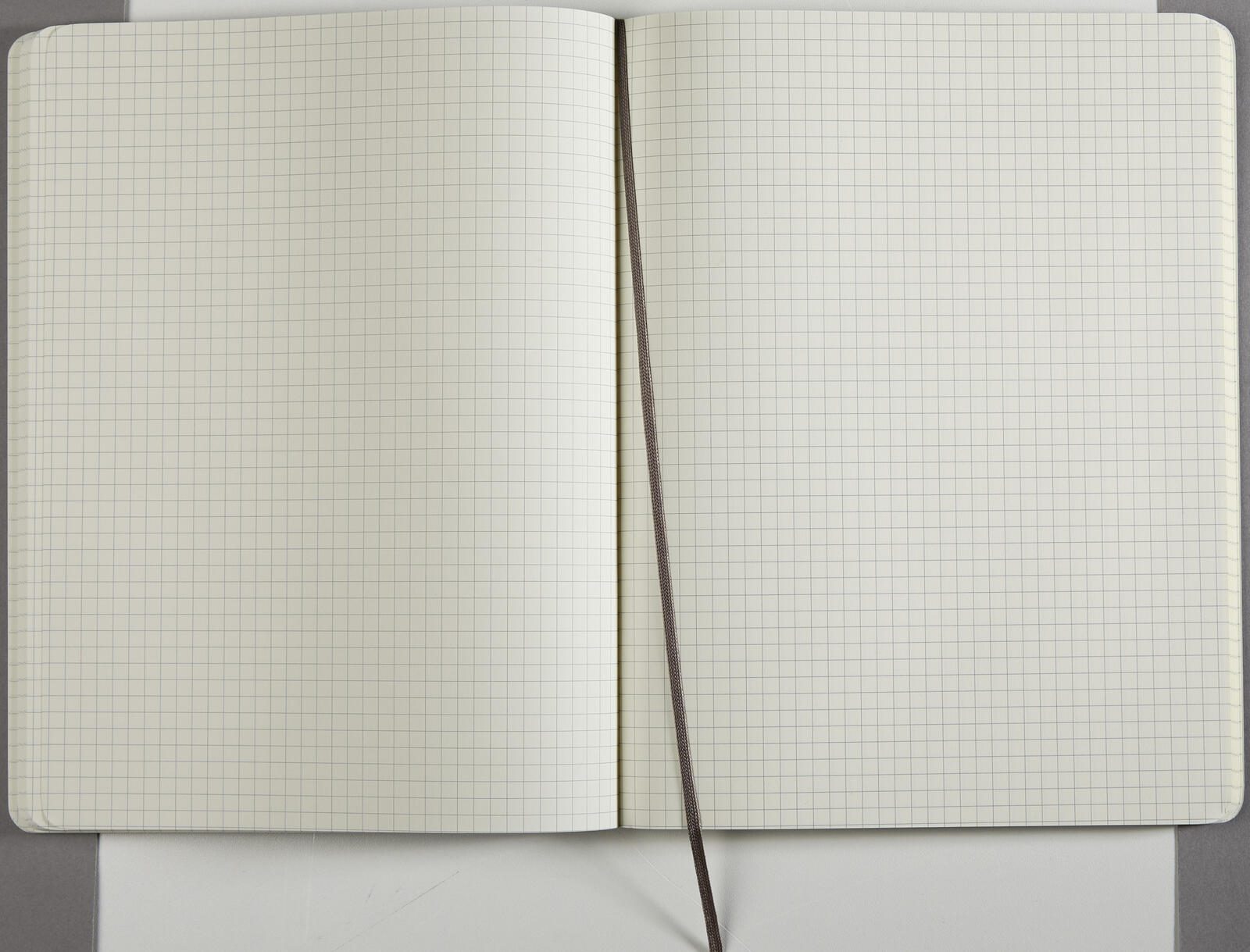 MOLESKINE Notizbuch ca. DIN A4 kariert, 192 Seiten