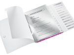 LEITZ Ordnungsmappe DIN A4 12-Fach  pink