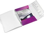LEITZ Ordnungsmappe DIN A4 12-Fach  violett