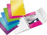 LEITZ Ordnungsmappe DIN A4 12-Fach  violett