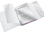 LEITZ Ordnungsmappe DIN A4 12-Fach  violett