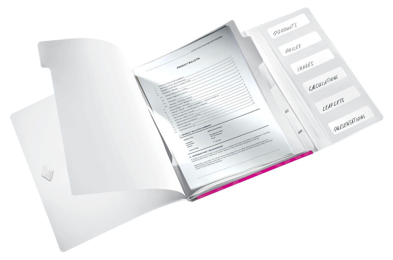 LEITZ Ordnungsmappe DIN A4 6-Fach  pink