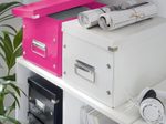 LEITZ Aufbewahrungsbox Click&Store 30,0 l - 32,0 x 36,0 x 31,0 cm pink