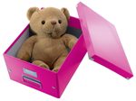 LEITZ Aufbewahrungsbox Click&Store 30,0 l - 32,0 x 36,0 x 31,0 cm pink