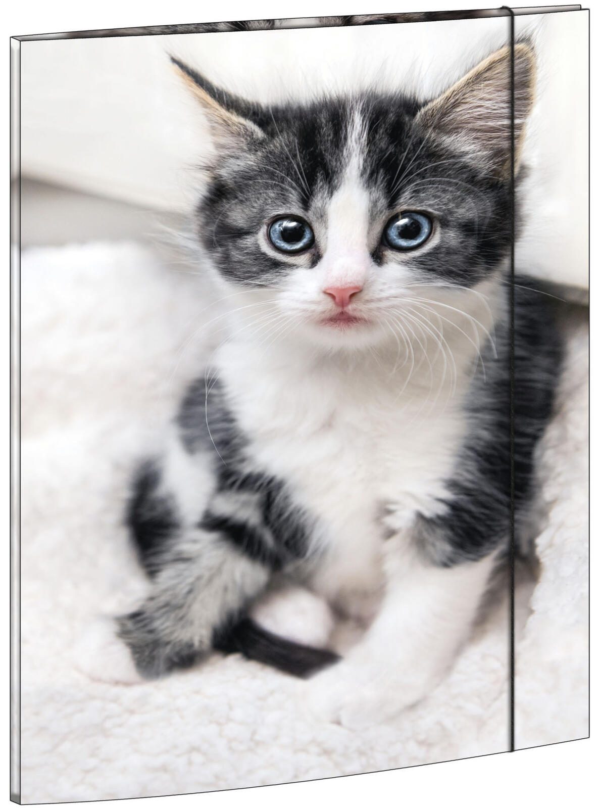 RNK-Verlag Zeichenmappe A3 Katze