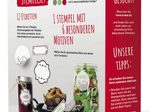 trodat Motivstempel Selbstgemachtes