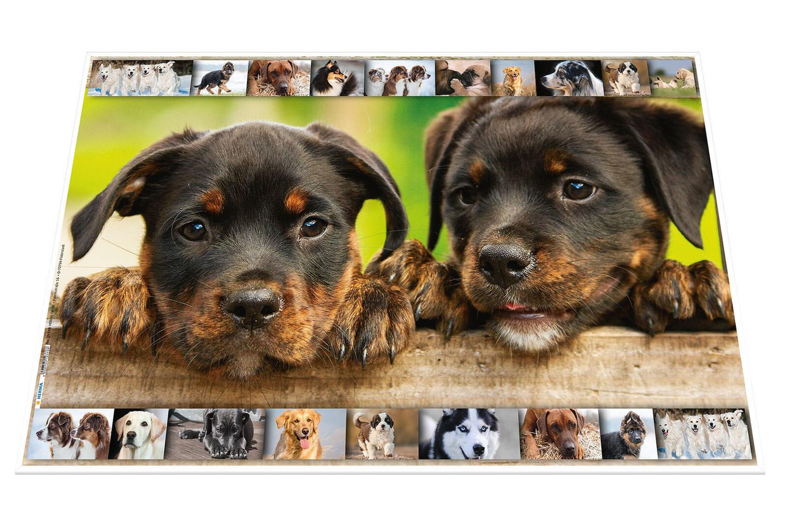 HERMA Schreibtischunterlagen 55,0 x 35,0 cm Hunde