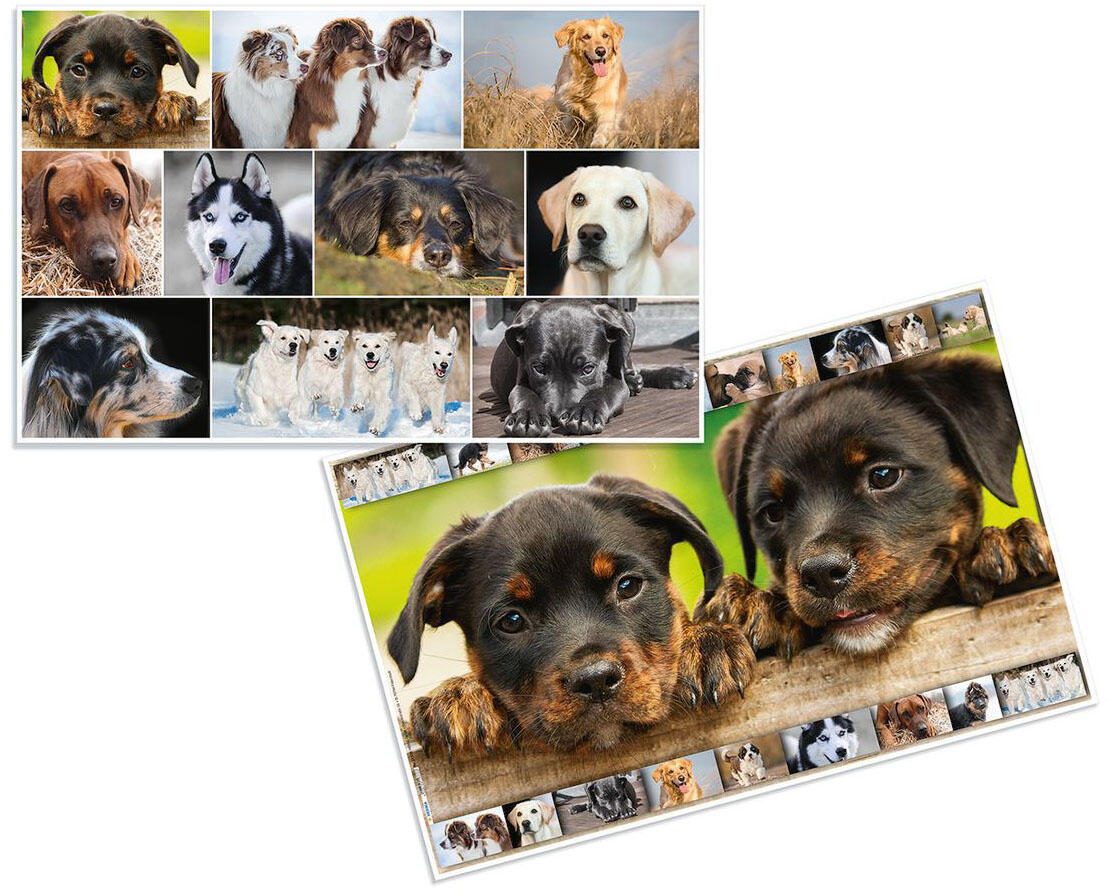 HERMA Schreibtischunterlagen 55,0 x 35,0 cm Hunde