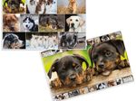 HERMA Schreibtischunterlagen 55,0 x 35,0 cm Hunde