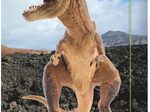 RNK-Verlag Zeichenmappe A3 T-Rex