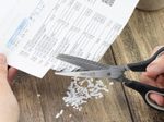 RAPESCO® Kräuterschere 20 cm