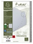 Exacompta Ordnerregister Vollformat 1-31 DIN A4