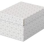 Esselte Aufbewahrungsboxen Home 6,5 l - 20,0 x 25,5 x 15,0 cm weiß