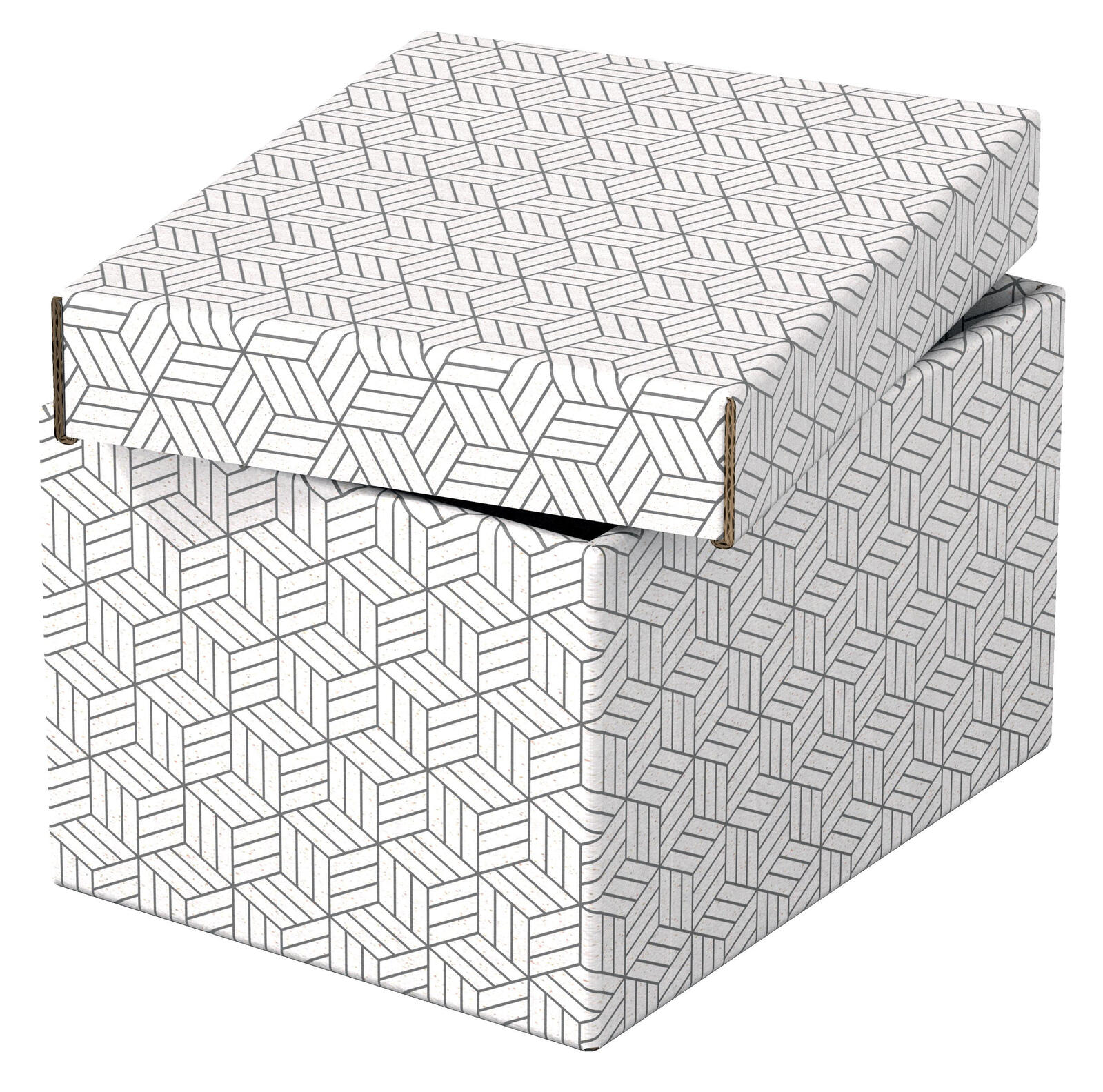 Esselte Aufbewahrungsboxen Home 6,5 l - 20,0 x 25,5 x 15,0 cm weiß